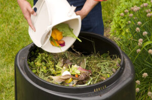 Read more about the article Condominium Food & Yard Waste FAQ